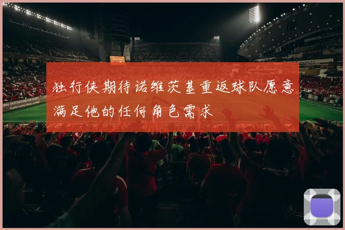 独行侠期待诺维茨基重返球队愿意满足他的任何角色需求